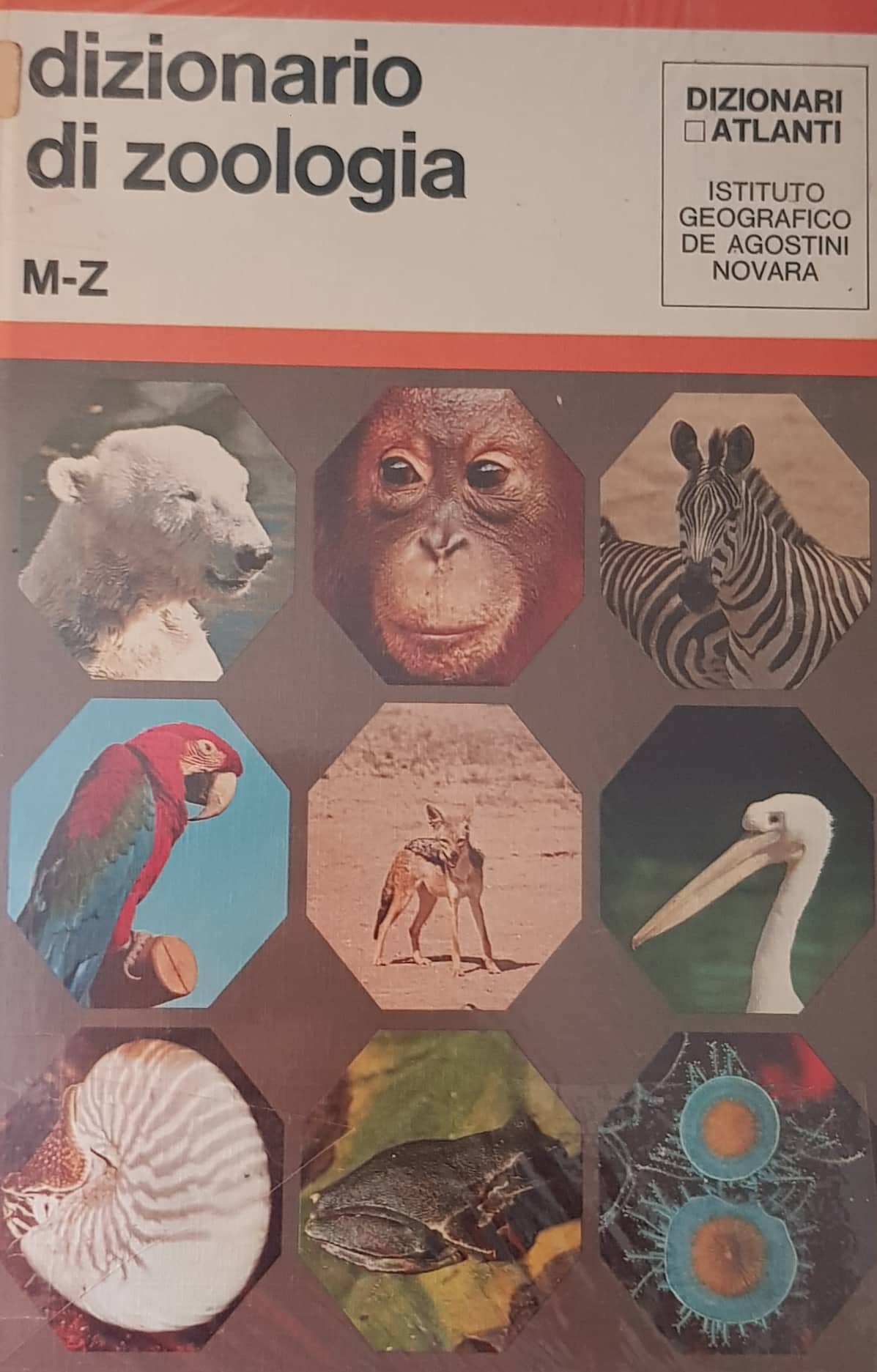 Copertina di Dizionario di zoologia 2 M-Z